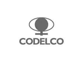 Logo codelco BN
